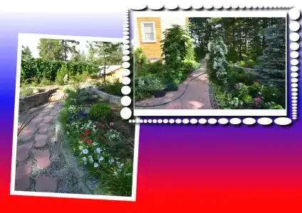 Моховое - 25