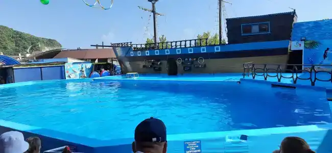 Архипка на Гоголя - 2