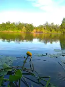 Снегирёвская усадьба - 32