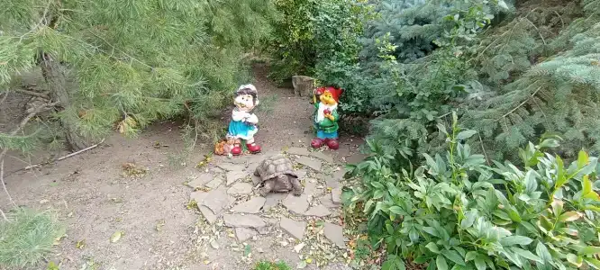 Веселый Маныч - 66