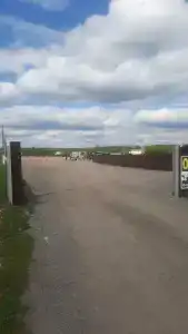 Престиж+ - 37