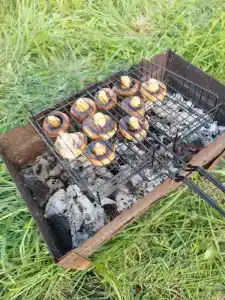 Парк Южного Периода - 14