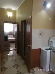 Сосна и Пальмы - 41