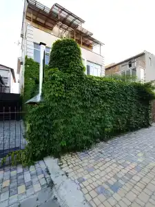 Коса Южная - 1