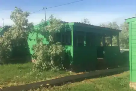 Дружба - 49