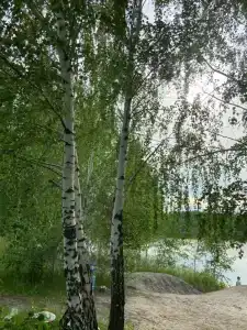 Голубая вода - 12