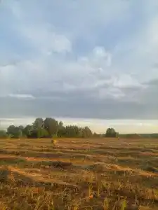 Ситское подворье - 30