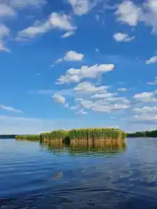 Богданово - 54