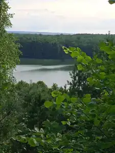 Кусторка - 41