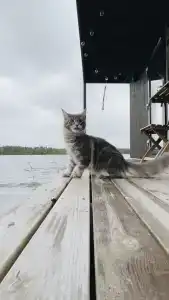 Коттедж Матриярви - 16