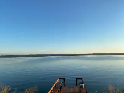 Лесные эльфы - 28