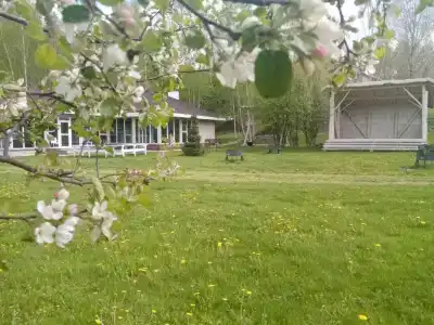 Удачное Кемп - 54