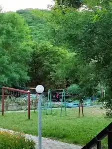 Дружба - 29