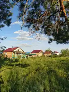 Пасека - 15