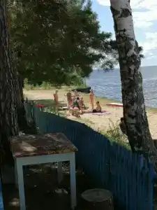 Чайка - 35