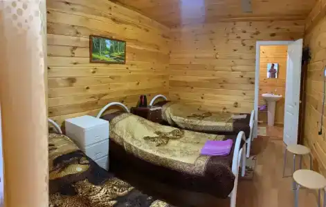 Стрижели - 30