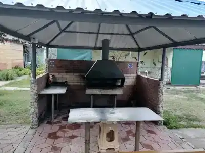 Эдельвейс - 28