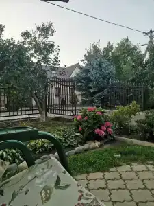 Волшебный Сад - 36