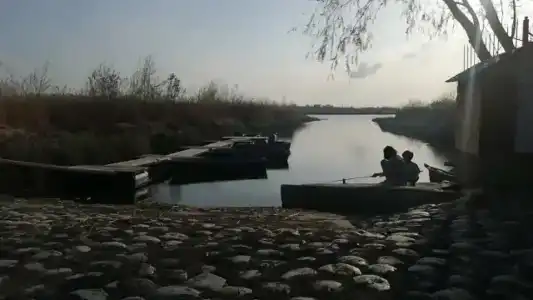 Пиранья - 15