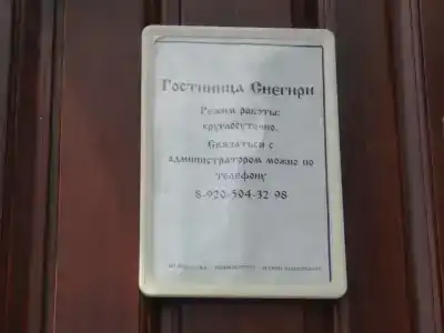 Снегири - 20