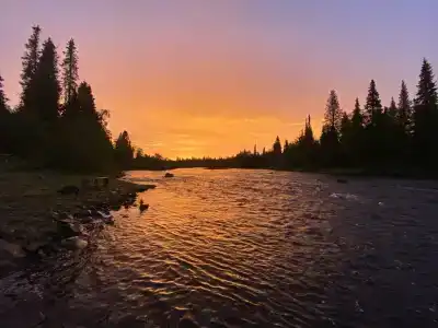 Фаворит - 14