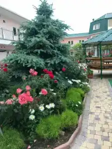 Гостевой дом на Гагарина, 6 - 3