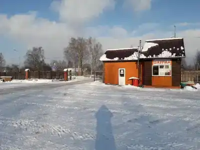 Славянка - 9