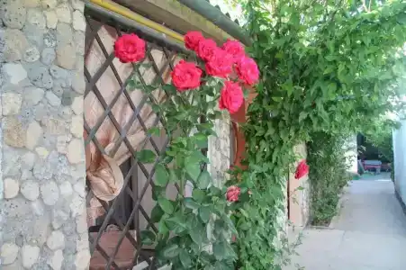 Поповский Дворик - 6