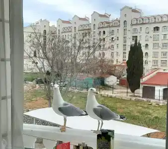 Атриум Кинг Вэй - 8