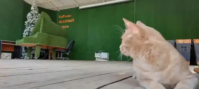 Алма Акбулак - 1