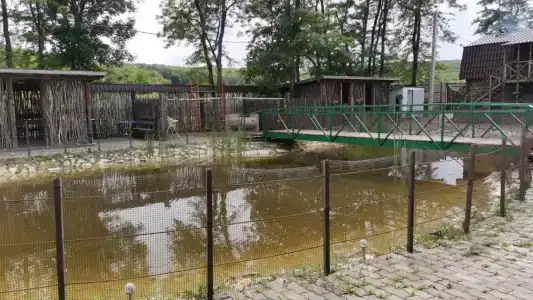 Родники - 3