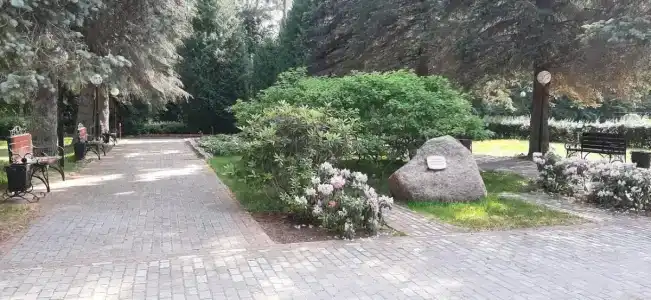 Белое солнце - 56