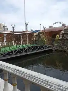 Орхидея - 10