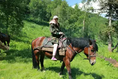 Лесная - 35