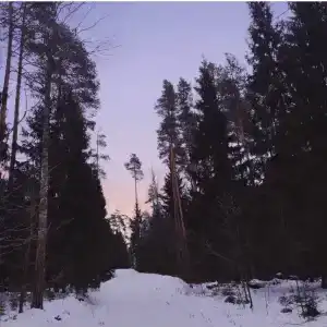 Любляна - 5