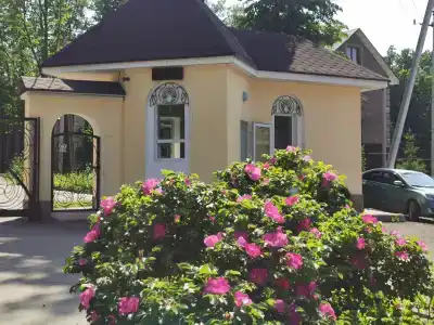 Серебряный век - 37