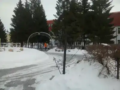 Светлый - 56