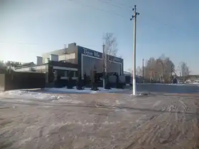 Белые Ивы - 10