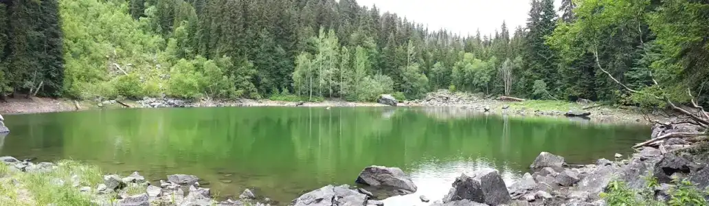 Комбат - 20