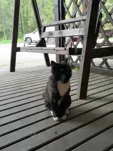 Самая Ладога - 69