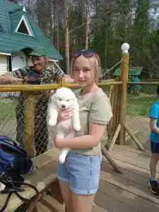 Высоковское - 62