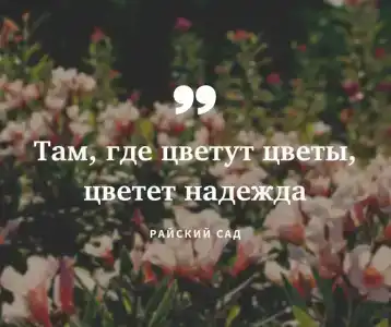 Райский Сад - 17
