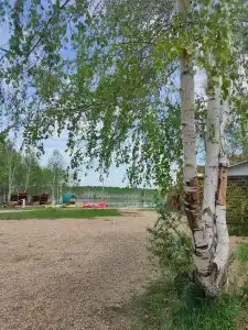 В гостях у Павловича - 9