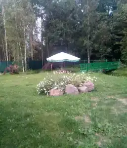 Шалом - 20