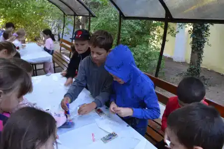 Кипарис - 51