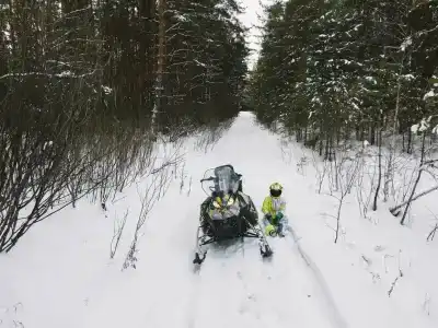 ForestHouse Лесной домик - 5