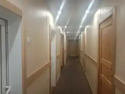 Зеленый бор - 24