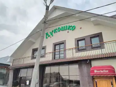 Лукошко - 0