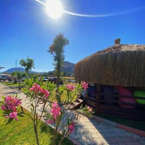 Portakal Dalyan - 22