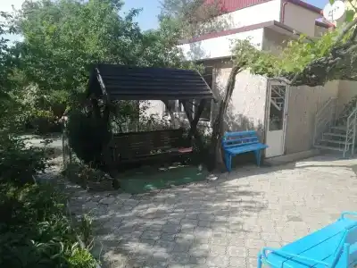 Амурчанка - 1